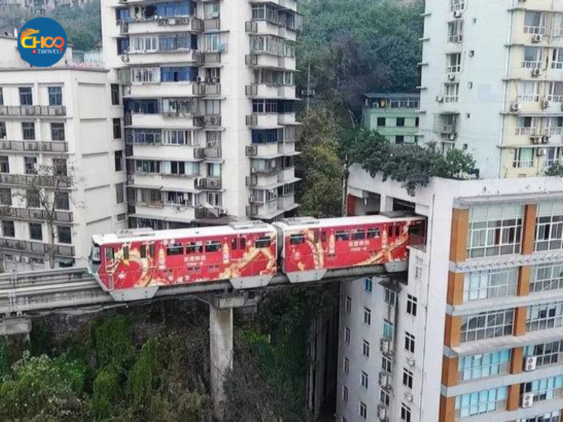 THÀNH ĐÔ - CỬU TRẠI CÂU - LẠC SƠN ĐẠI PHẬT - CV GẤU TRÚC