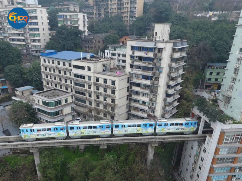 THÀNH ĐÔ - CỬU TRẠI CÂU - LẠC SƠN ĐẠI PHẬT - CV GẤU TRÚC