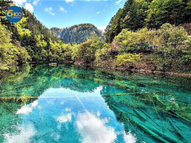 THÀNH ĐÔ - CỬU TRẠI CÂU - LẠC SƠN ĐẠI PHẬT - CV GẤU TRÚC