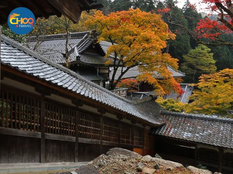 NHẬT BẢN MÙA THU - CUNG ĐƯỜNG CỔ TÍCH