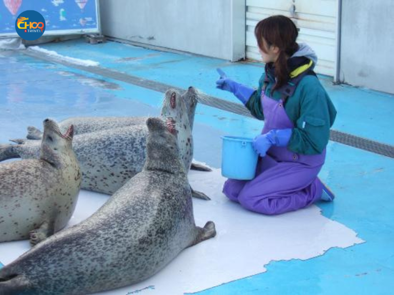 KHÁM PHÁ HOKKAIDO NHẬT BẢN 30/04 (Japan Airlines)