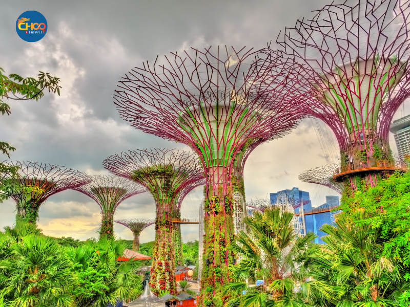 SINGAPORE-THÁC NƯỚC JEWEL-CHÙA RĂNG PHẬT