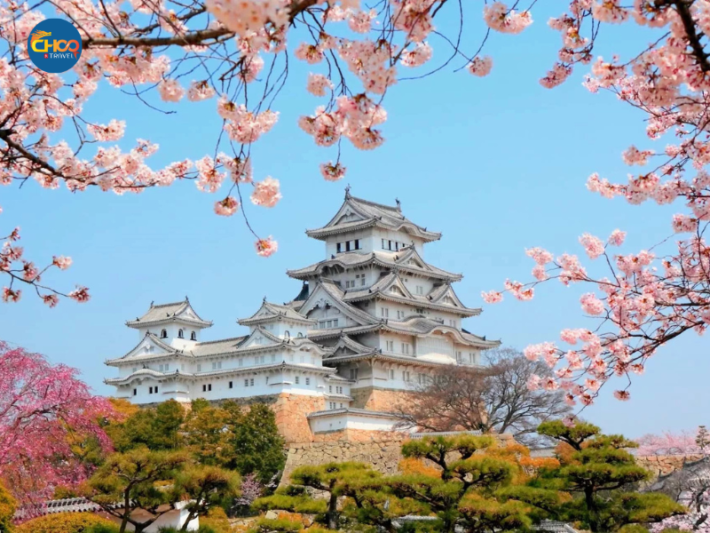 NHẬT BẢN CUNG ĐƯỜNG VÀNG - Vietnam Airlines