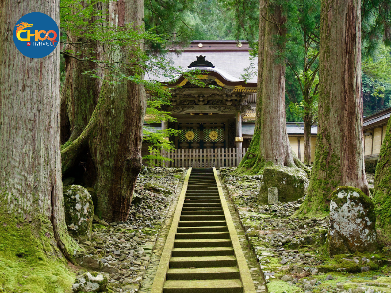 NHẬT BẢN MÙA THU - CUNG ĐƯỜNG CỔ TÍCH