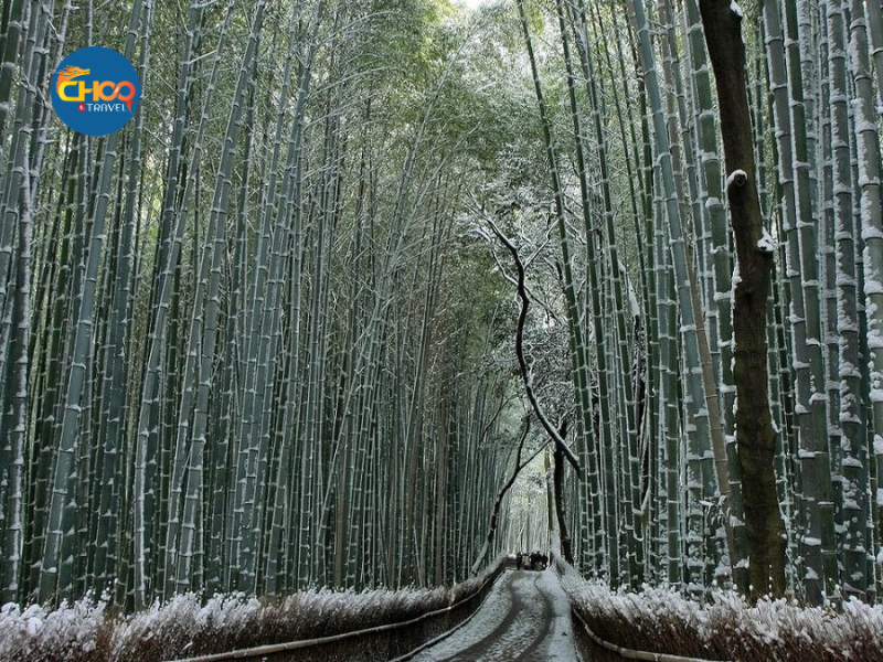 DU XUÂN NHẬT BẢN 6N5Đ - MÙNG 4 TẾT