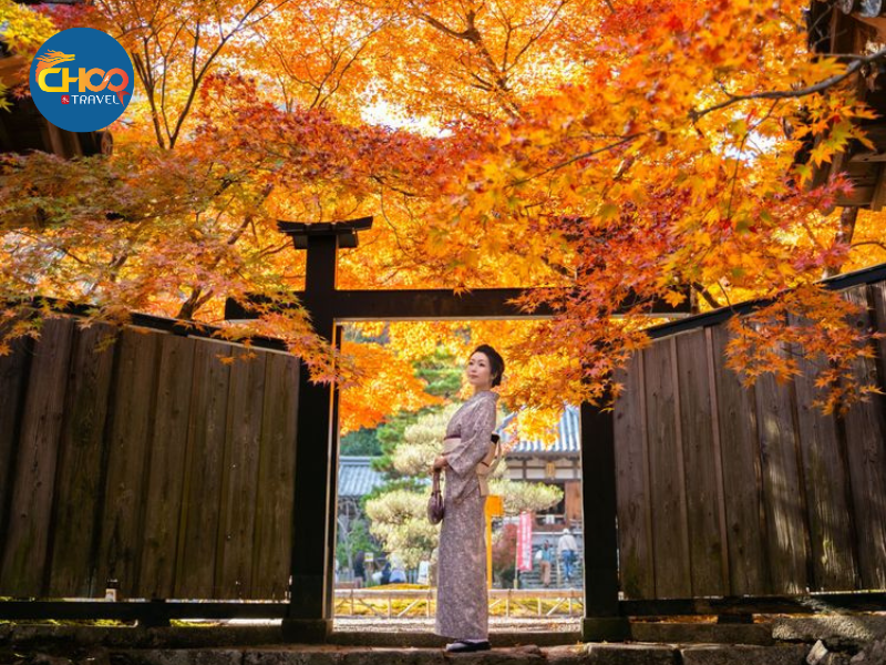 NHẬT BẢN MÙA THU - CUNG ĐƯỜNG CỔ TÍCH