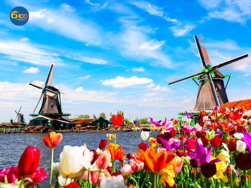 CHÂU ÂU | ĐỨC – HÀ LAN – BỈ - PHÁP – THUỴ SĨ – Ý