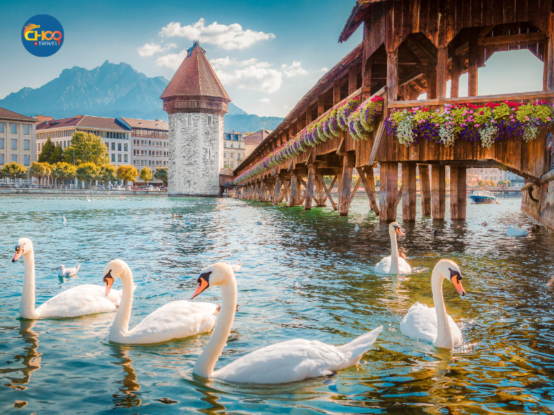 CHÂU ÂU | ĐỨC – HÀ LAN – BỈ - PHÁP – THUỴ SĨ – Ý