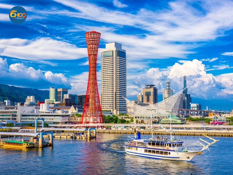 KHÁM PHÁ MÙA HOA ANH ĐÀO NỞ RỘ (Vietnam Airlines)