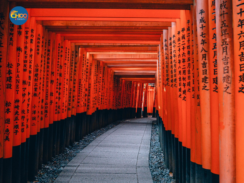 KHÁM PHÁ MÙA HOA ANH ĐÀO NỞ RỘ (Vietnam Airlines)