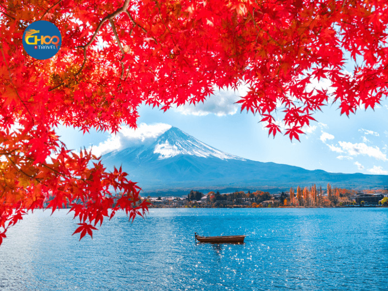 NHẬT BẢN | CUNG ĐƯỜNG VÀNG (Mùa thu)