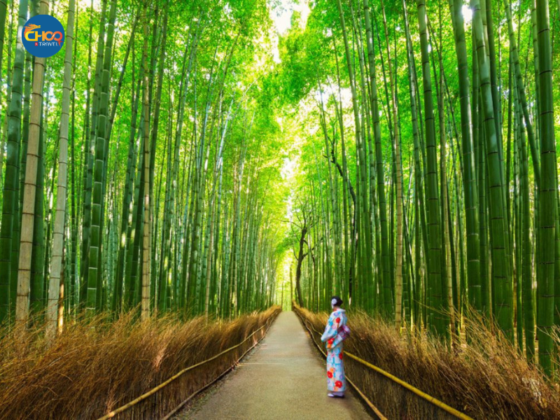 NHẬT BẢN MÙA HÈ 2025 - CUNG ĐƯỜNG VÀNG (Vietnam Airlines)