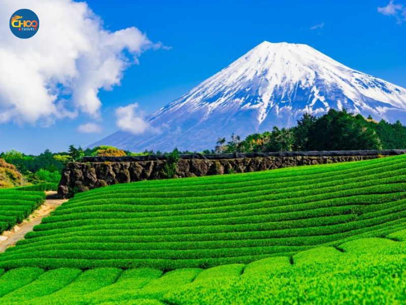 TREKKING | TOKYO - YAMANASHI - NÚI PHÚ SĨ