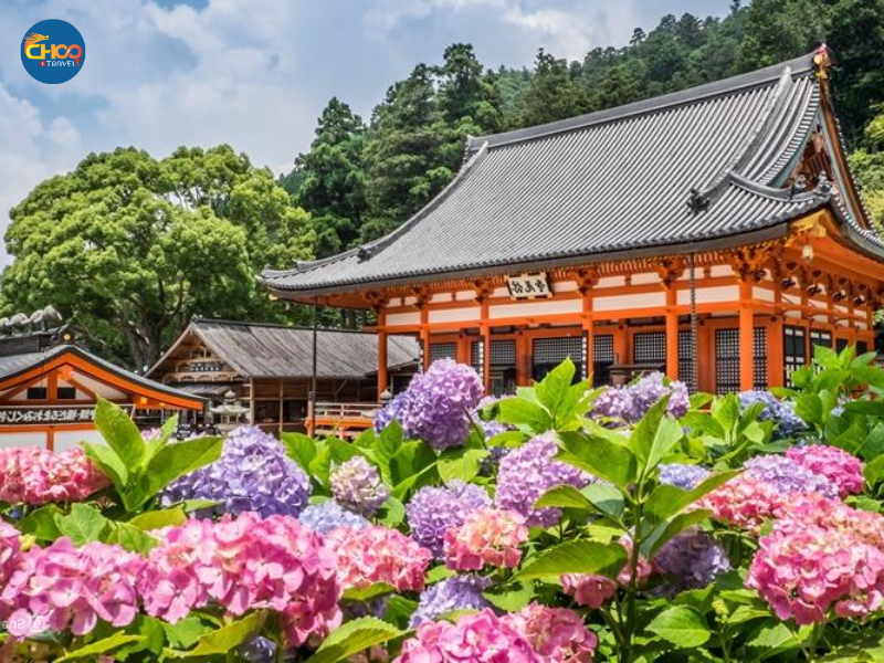 KHÁM PHÁ HOKKAIDO NHẬT BẢN 30/04 (Japan Airlines)