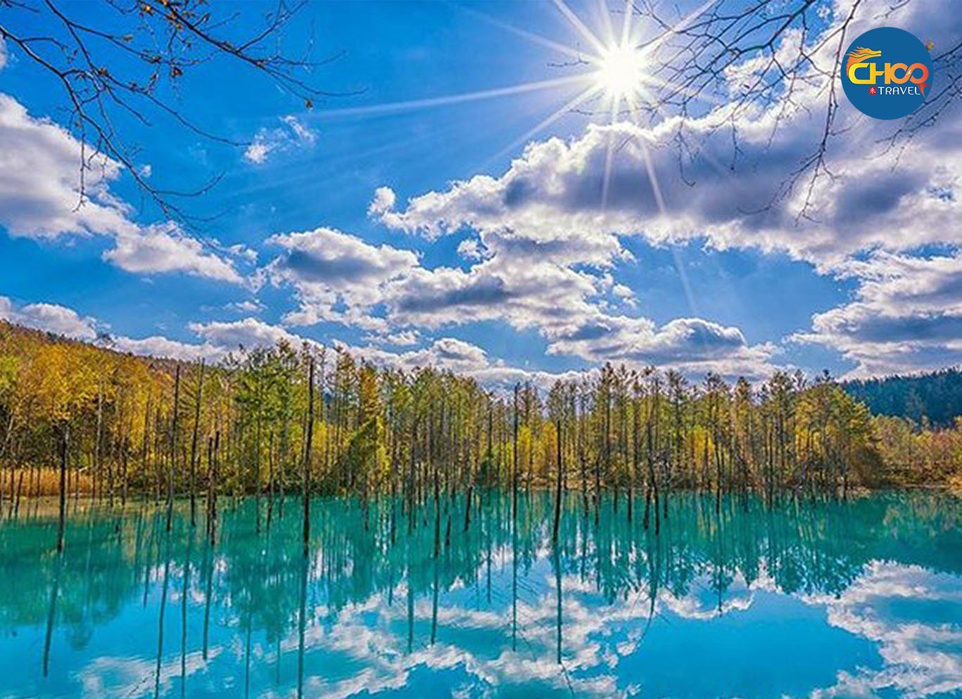 KHÁM PHÁ HOKKAIDO NHẬT BẢN 30/04 (Japan Airlines)