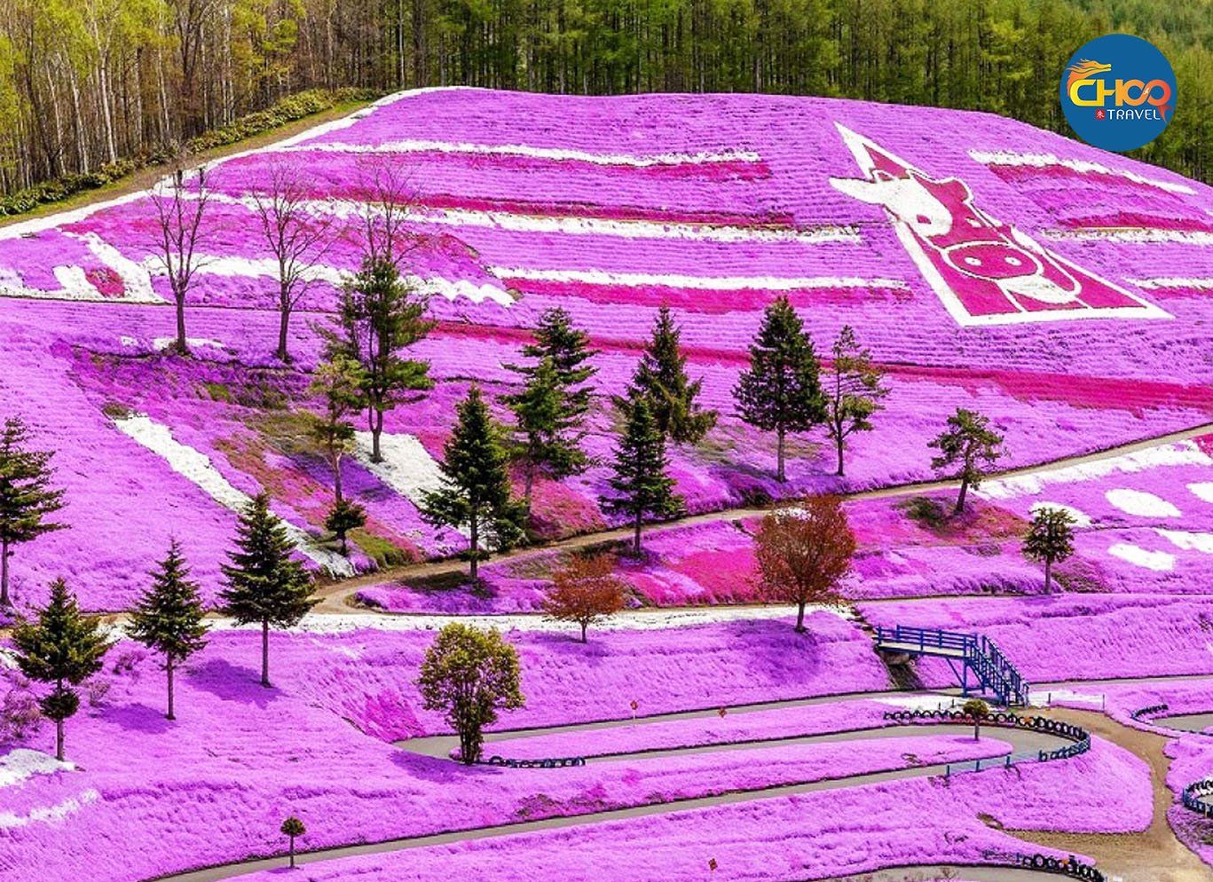 KHÁM PHÁ HOKKAIDO NHẬT BẢN 30/04 (Japan Airlines)