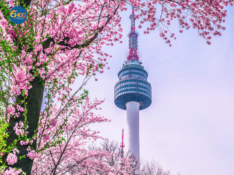 HÀN QUỐC | SEOUL- NAMI -  EVERLAND