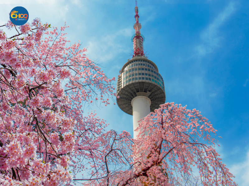 HÀN QUỐC | SEOUL- NAMI -  EVERLAND