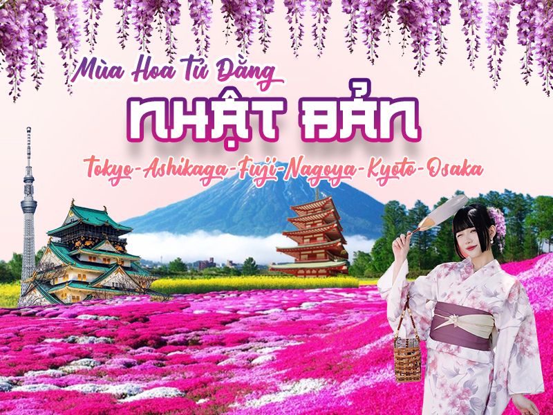 NHẬT BẢN MÙA HOA TỬ ĐẰNG & HOA CHI ANH 6N5Đ