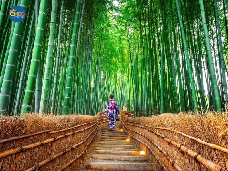 NHẬT BẢN MÙA HÈ 2025 - CUNG ĐƯỜNG VÀNG (Vietnam Airlines)