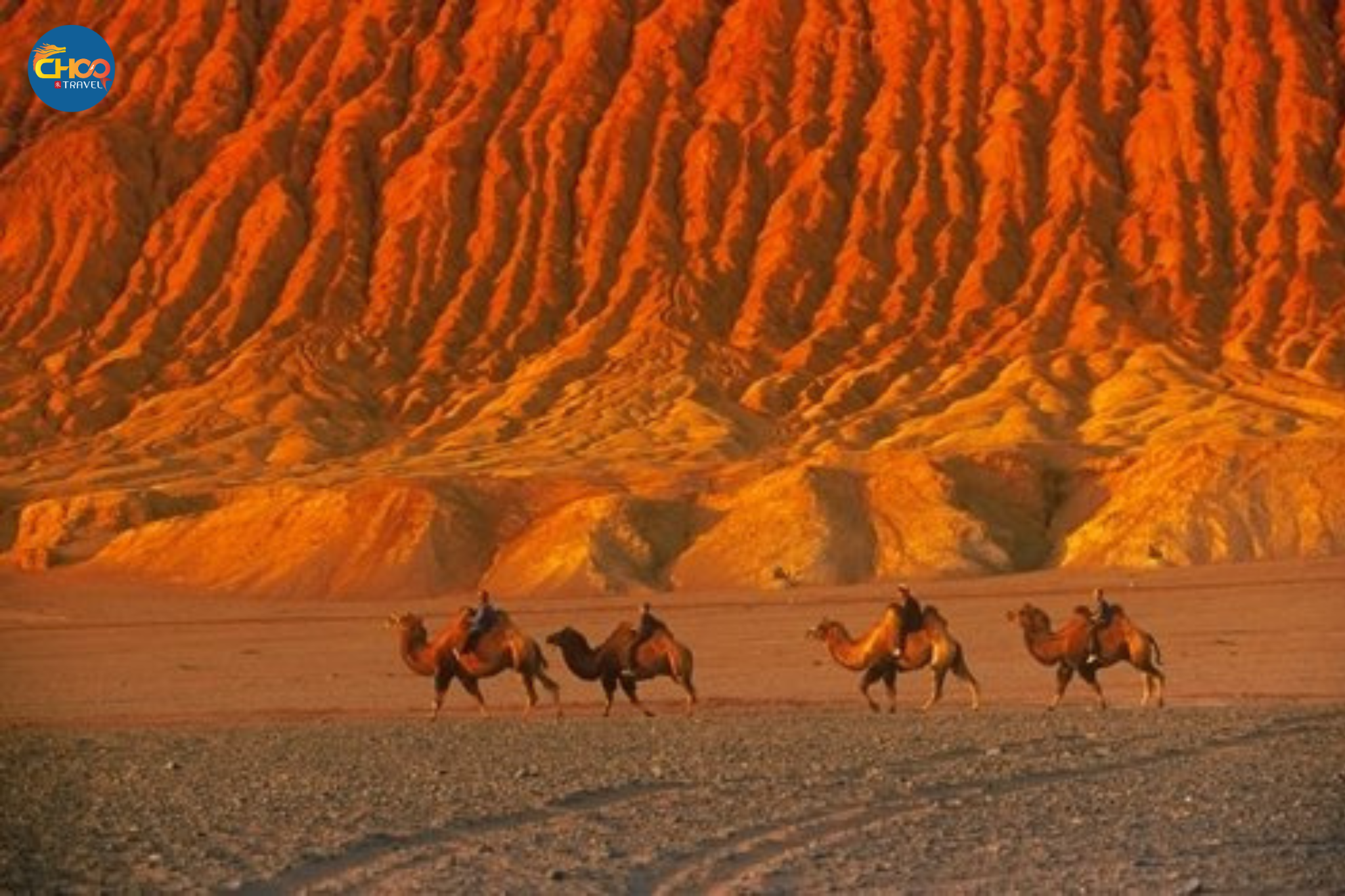 TÂN CƯƠNG - CON ĐƯỜNG TƠ LỤA