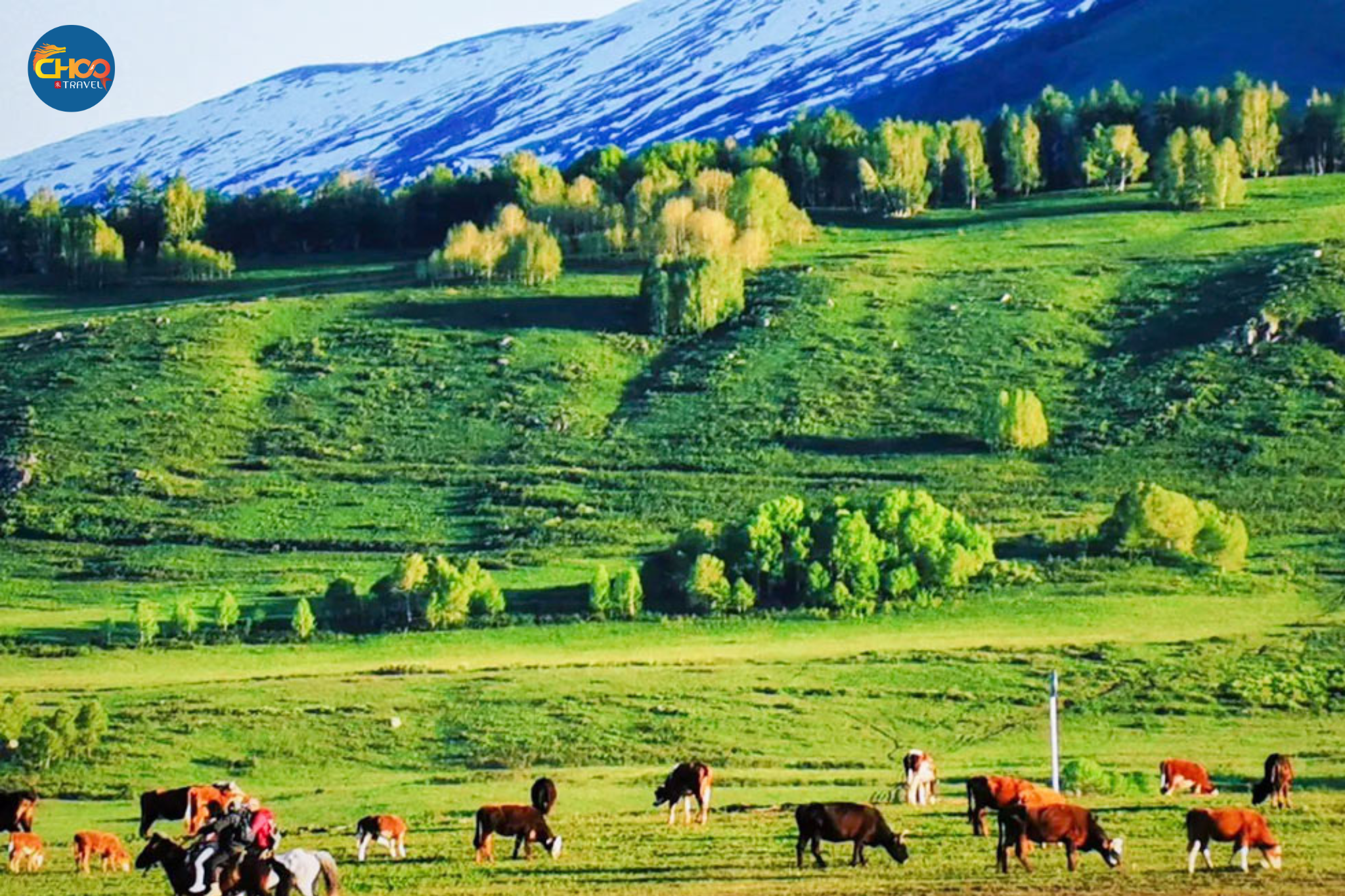 TÂN CƯƠNG - CON ĐƯỜNG TƠ LỤA