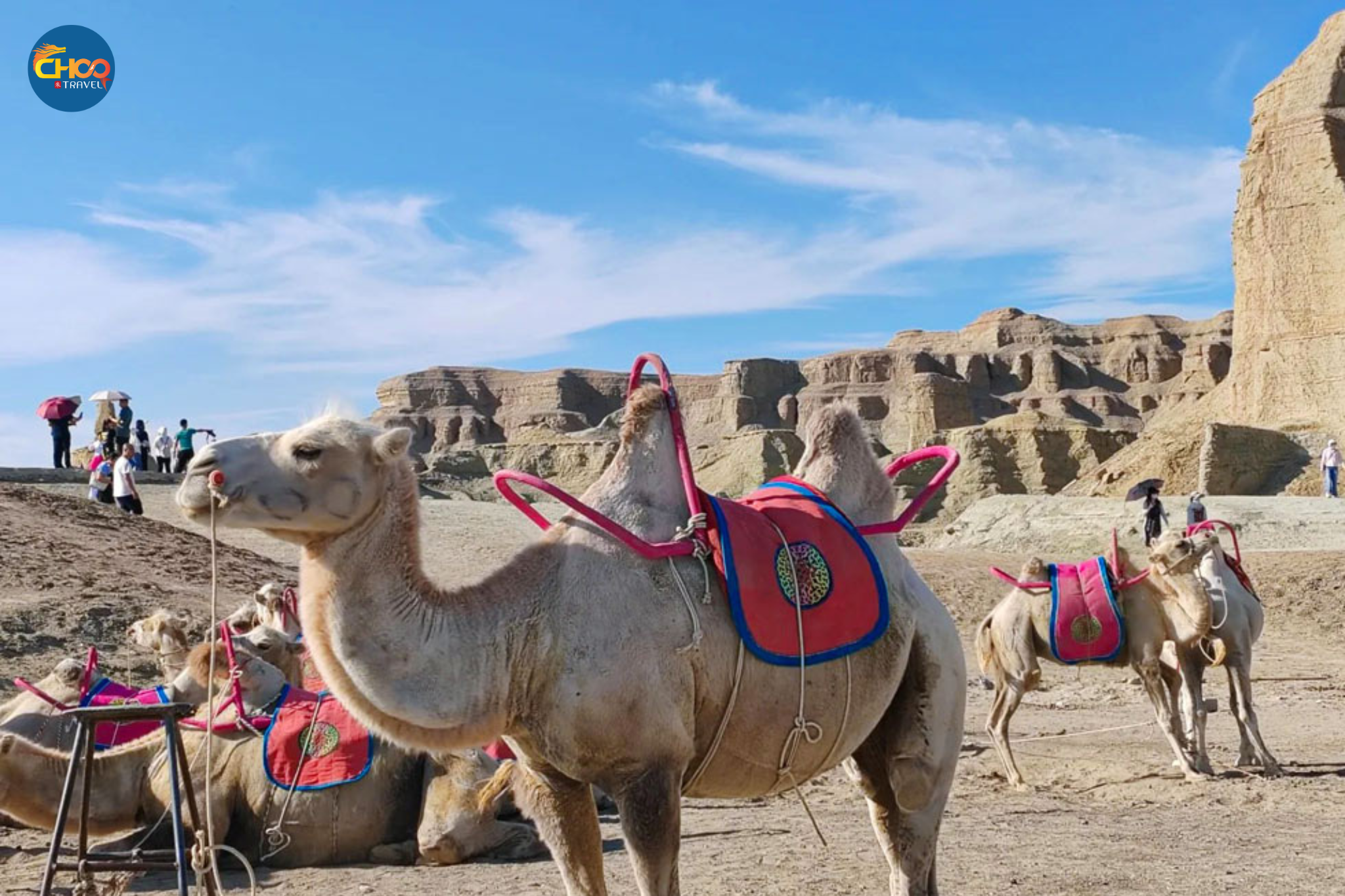 TÂN CƯƠNG - CON ĐƯỜNG TƠ LỤA