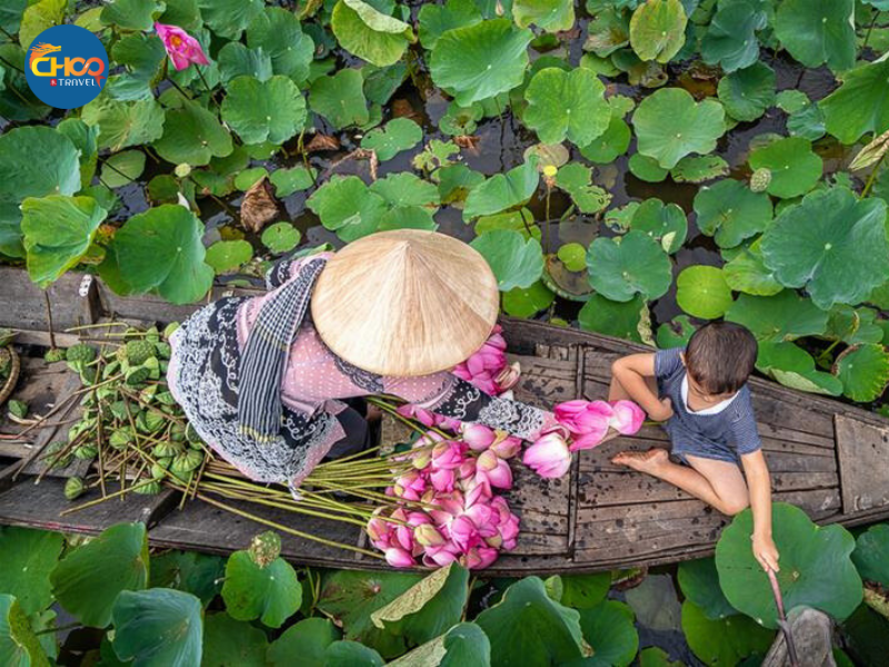 MIỀN TÂY - Cái Bè - Cần Thơ - Châu Đốc - Đồng Tháp