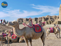 TÂN CƯƠNG - CON ĐƯỜNG TƠ LỤA