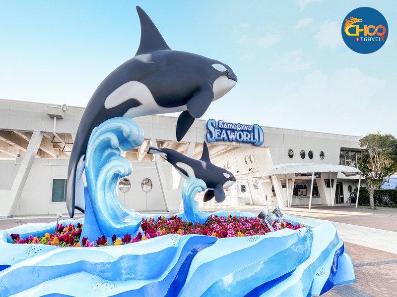 NHẬT BẢN | SÀI GÒN - CHIBA - PHÚ SĨ - TOKYO