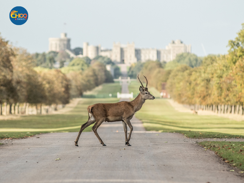 TOUR ÚC| KHÁM PHÁ SYDNEY - MELBOURNE 7N6Đ