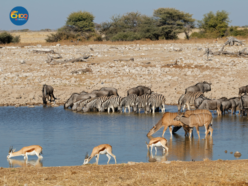 TOUR ÚC| KHÁM PHÁ SYDNEY - MELBOURNE 7N6Đ