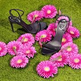  Giày Cao Gót Nữ Rene Caovilla Ellabrita Sandal 