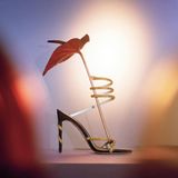  Giày Cao Gót Nữ Rene Caovilla Margot Snake Black Jewel Sandals 105 