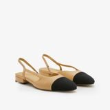  Giày Bệt Nữ PAZZION Blythe Contrast Toe Cap Flats 