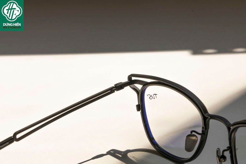  Gọng Titanium + Acetate 190060 