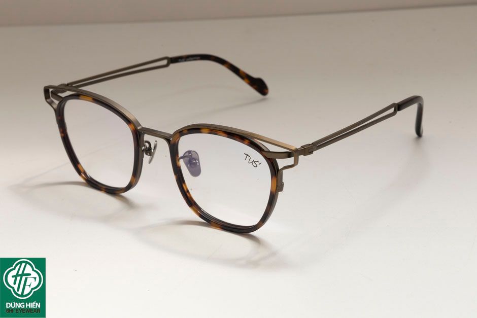  Gọng Titanium + Acetate 190060 