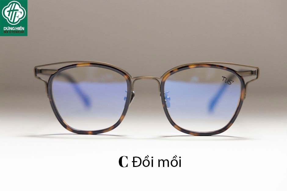  Gọng Titanium + Acetate 190060 