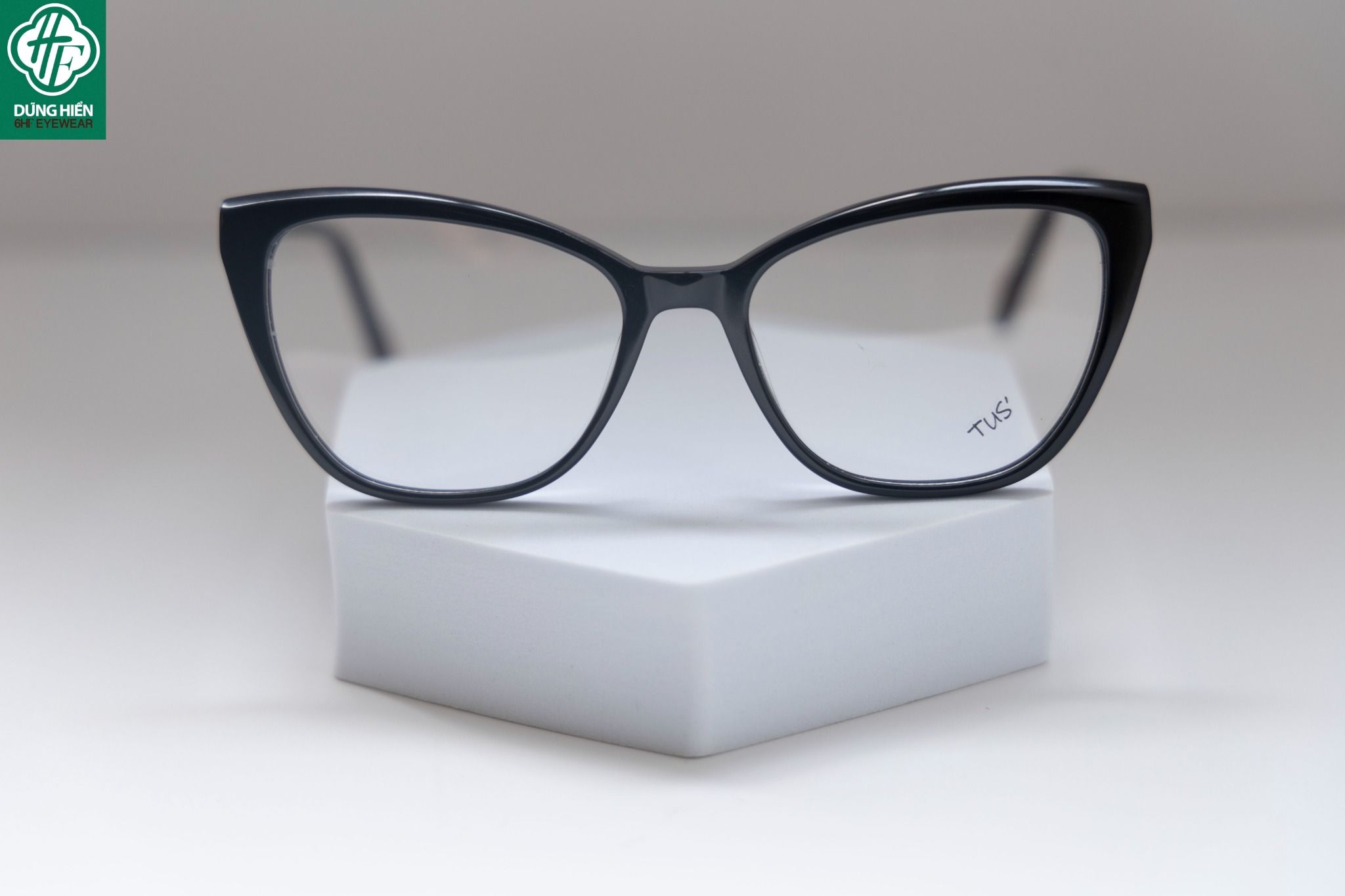  LM 81009 # Gọng nhựa mắt mèo Bio-Acetate cateye frame 