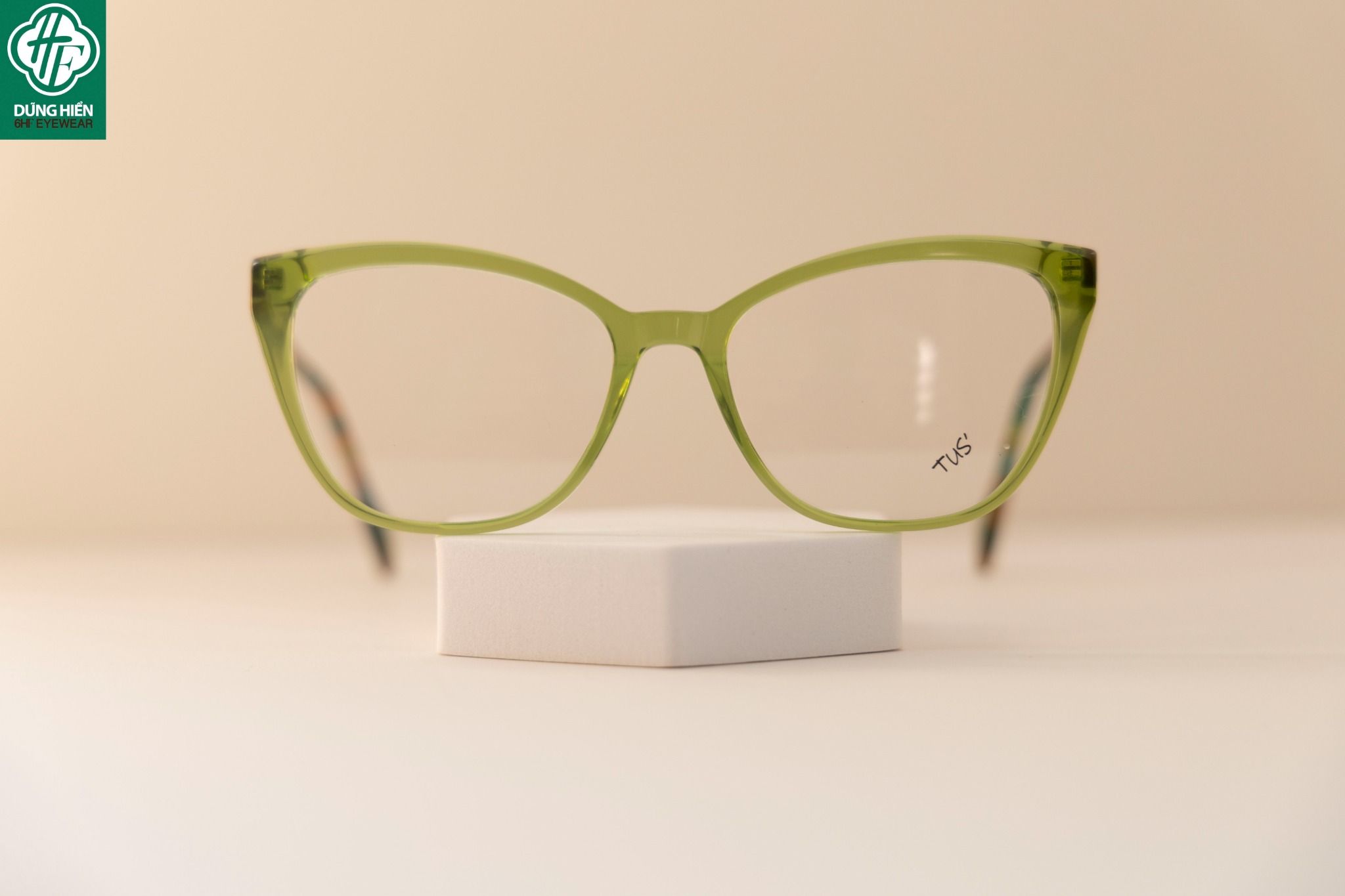  LM 81009 # Gọng nhựa mắt mèo Bio-Acetate cateye frame 