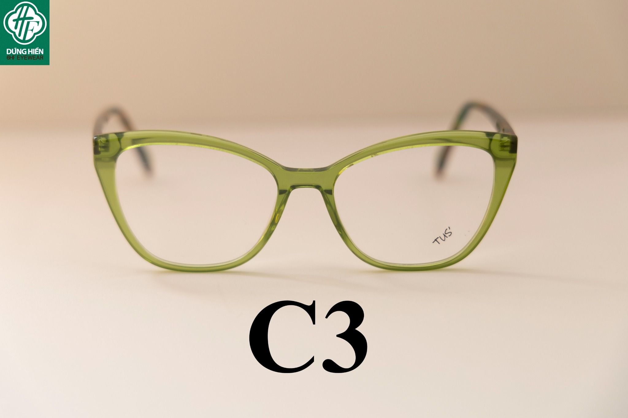  LM 81009 # Gọng nhựa mắt mèo Bio-Acetate cateye frame 