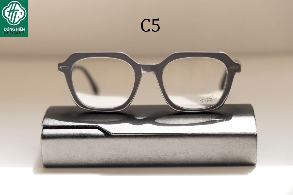  Gọng nhựa Acetate optical frame TUS' NSV 5021 