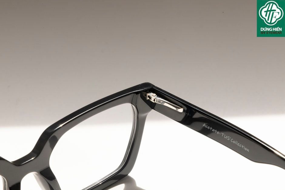  Gọng nhựa Acetate optical frame TUS'  NSV 5029 