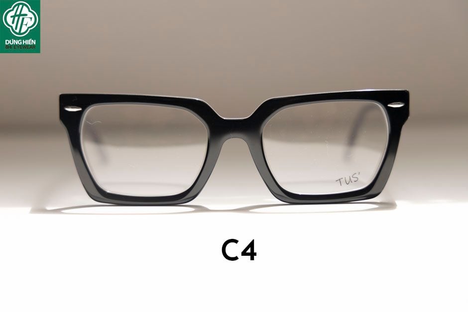  Gọng nhựa Acetate optical frame TUS'  NSV 5029 