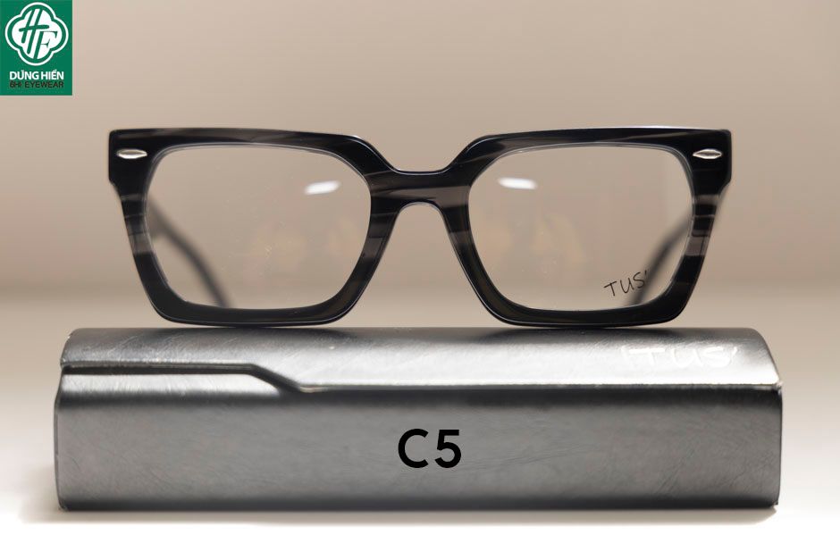  Gọng nhựa Acetate optical frame TUS'  NSV 5029 