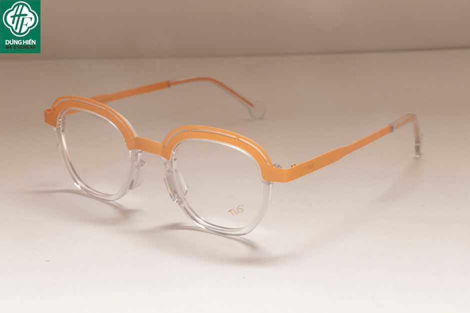  Style- 22212 #Gọng TUS'  Acetate+titanium Eyewear:  Độ Lạ - Unique 