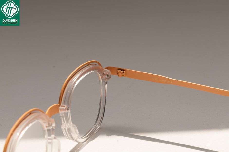  Style- 22212 #Gọng TUS'  Acetate+titanium Eyewear:  Độ Lạ - Unique 