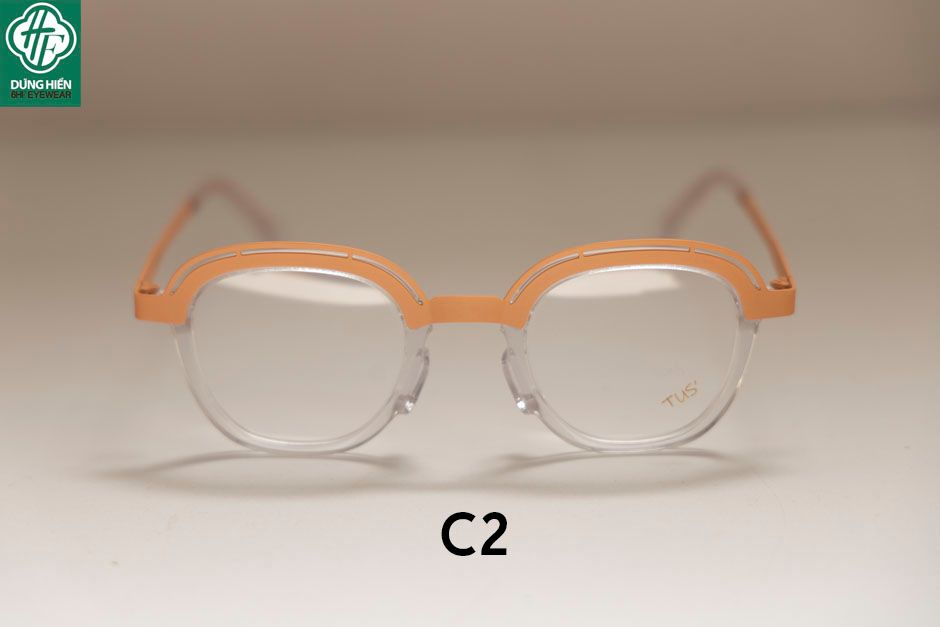  Style- 22212 #Gọng TUS'  Acetate+titanium Eyewear:  Độ Lạ - Unique 