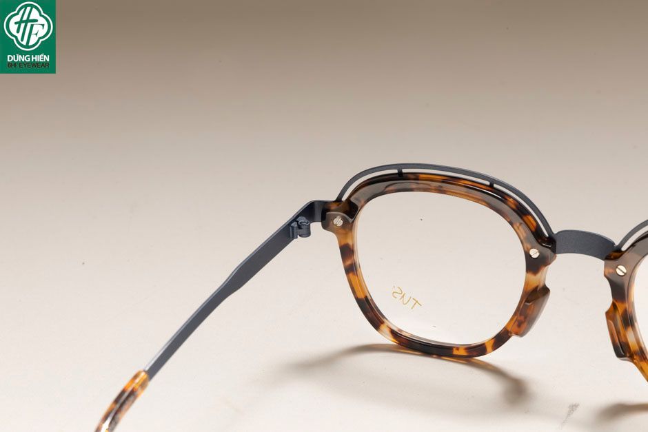  Style- 22212 #Gọng TUS'  Acetate+titanium Eyewear:  Độ Lạ - Unique 