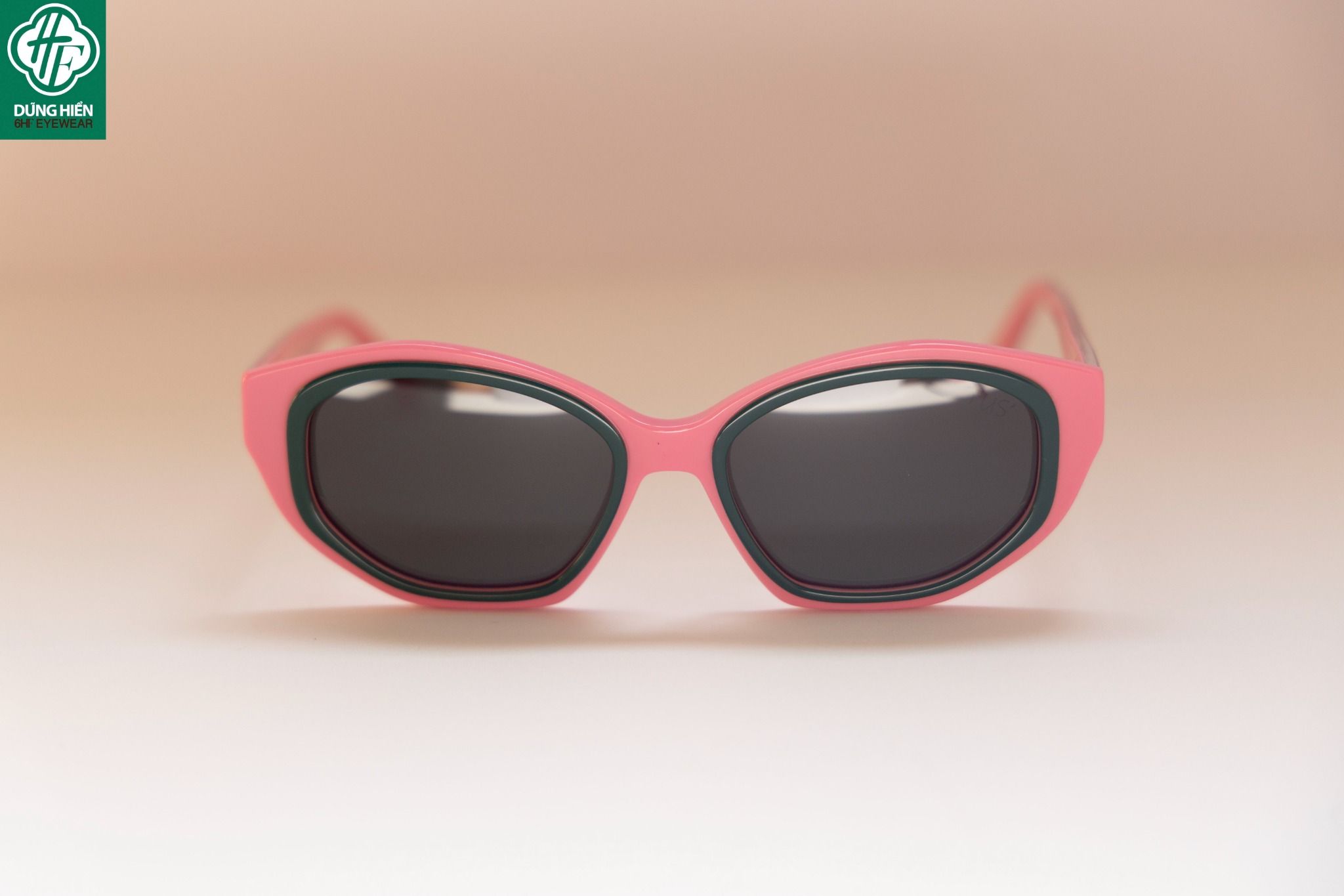  YD 1213 # Kính nhựa mắt mèo Acetate cateye optical frame 